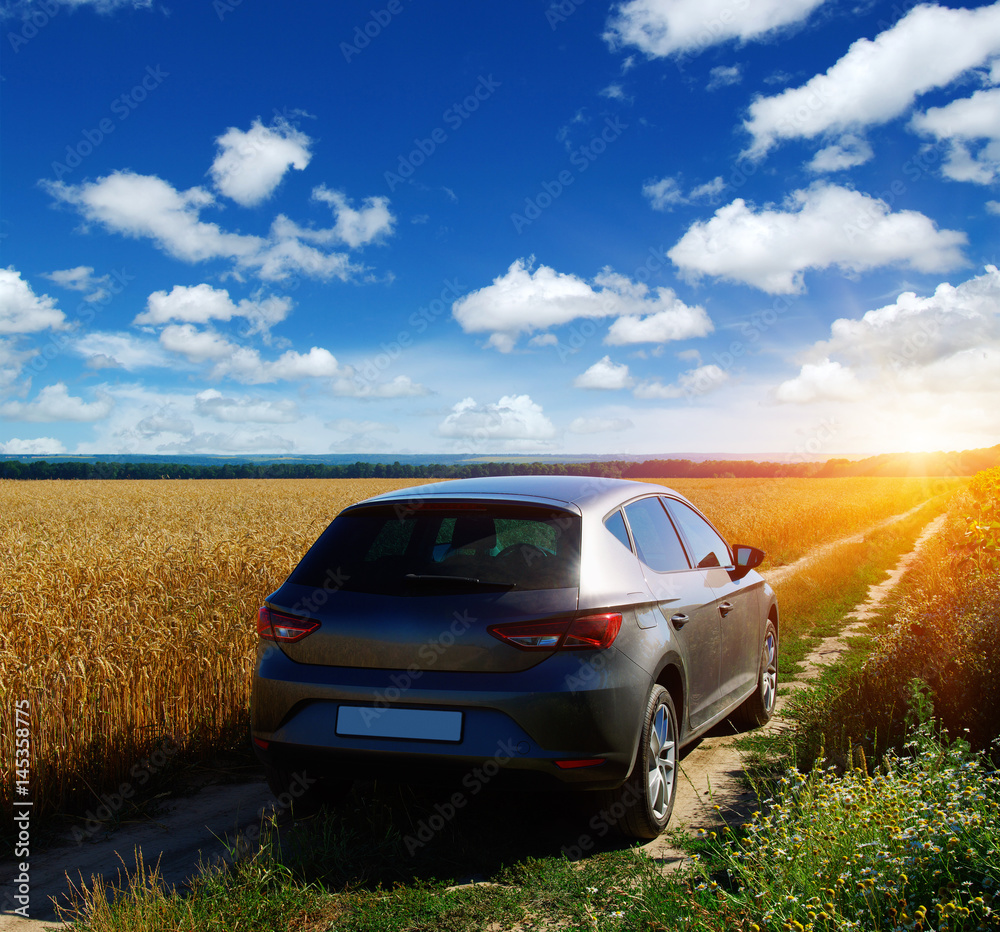 car on a field