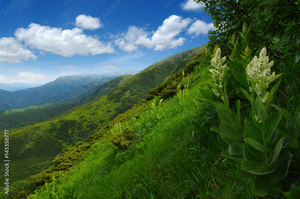 夏日山景