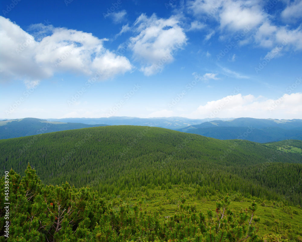 夏日山景