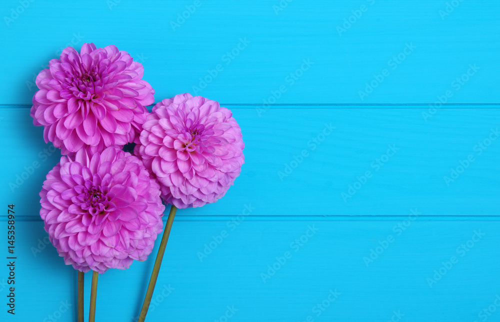  Flowers on blue painted wooden planks.