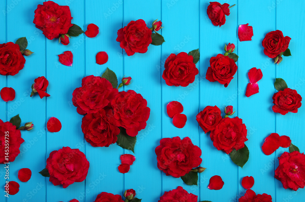 Red roses flowers on blue wood.