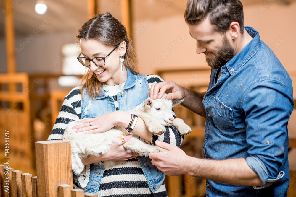 Man and woman veterinarians taking care about small baby goat indoors at the barn