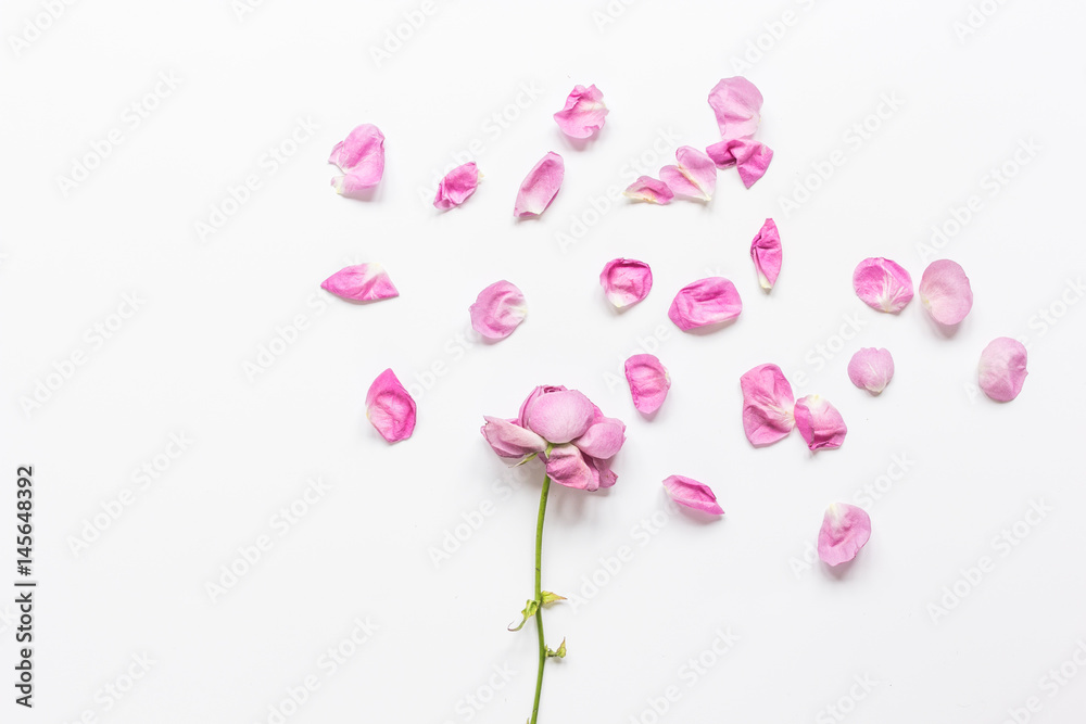 trendy woman desk in pastel colors with rose petals top view mock-up