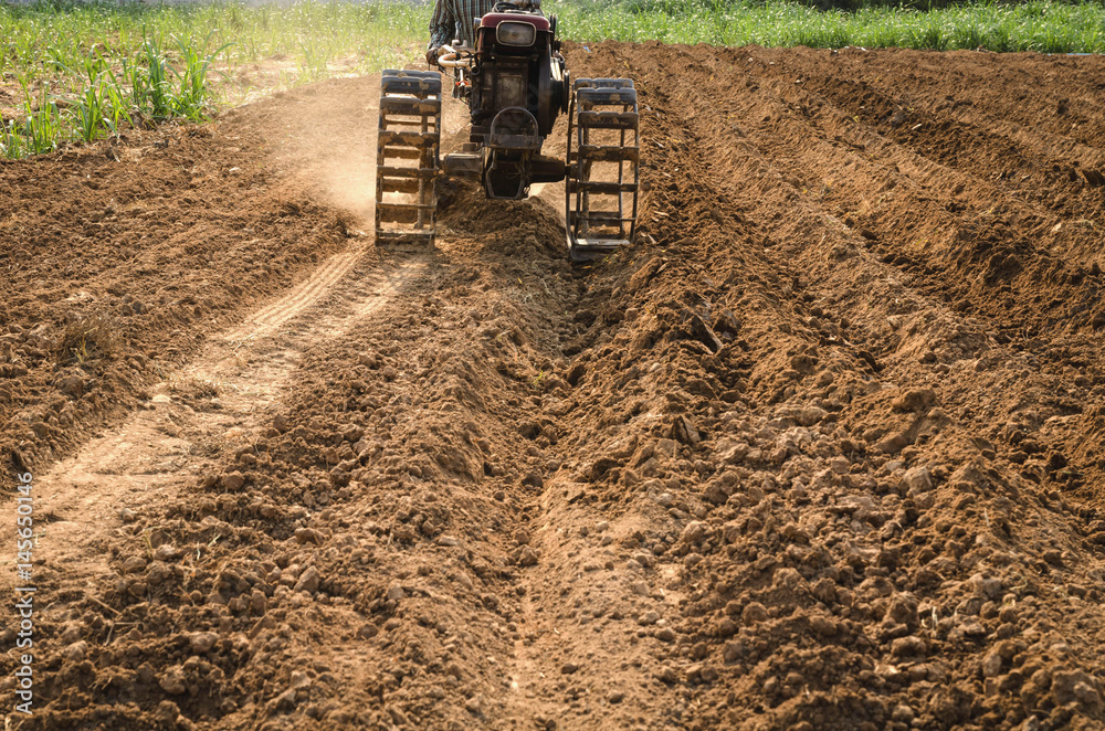 worker machinery plowed in field corn.