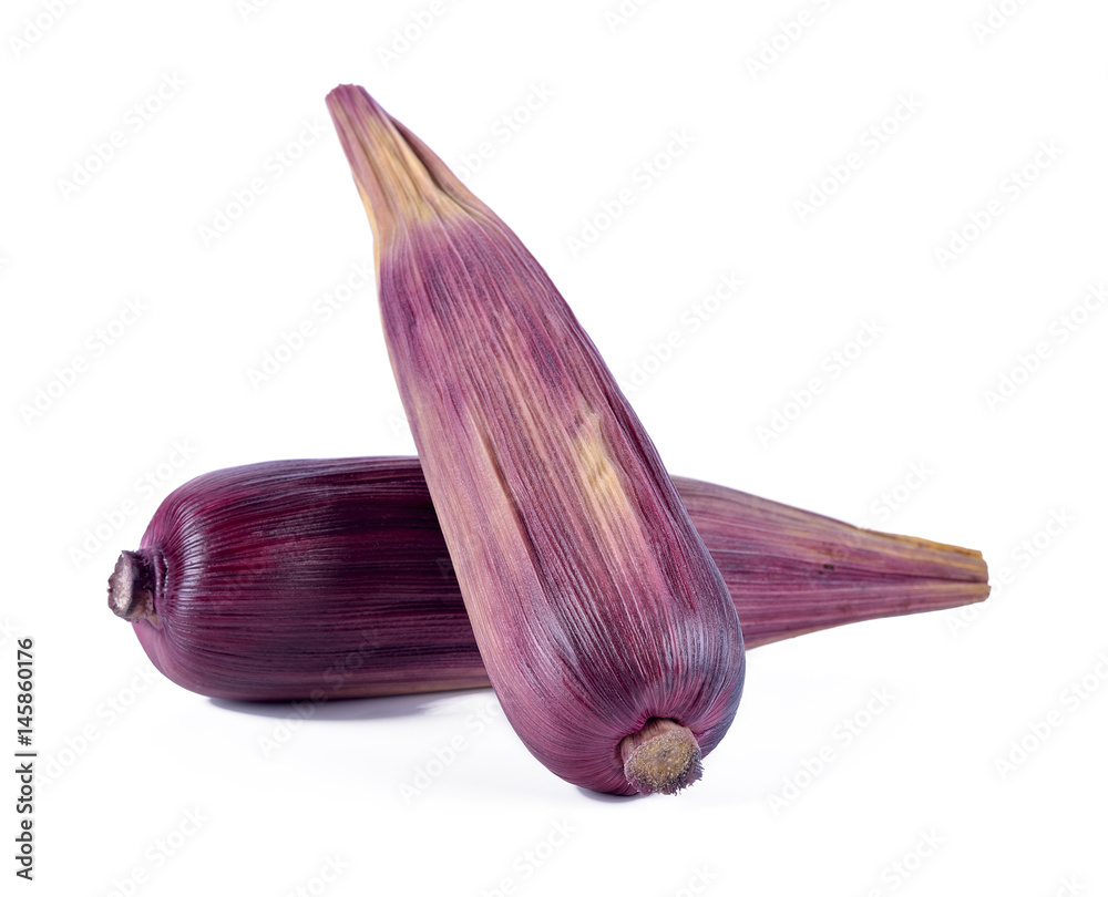 Boiled corn, red on a white background