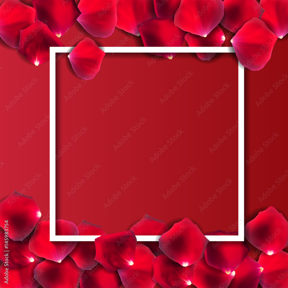 Abstract Natural Rose Petals Frame Background Realistic Vector I