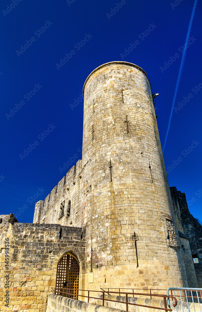 Chateau de Rauzan, a medieval castle in Gironde, France