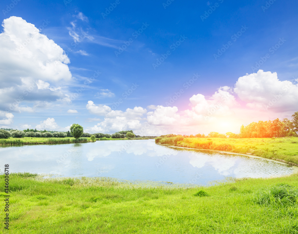 green grass under the blue sky