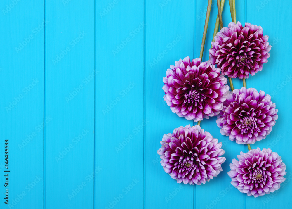  Flowers on blue painted wooden planks.