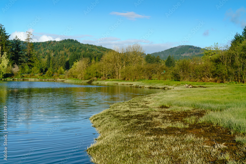 Mud Bay Morning