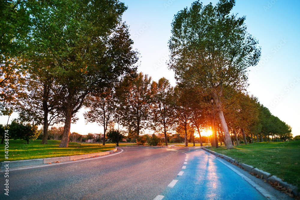 Sunset light breaking through the trees along road