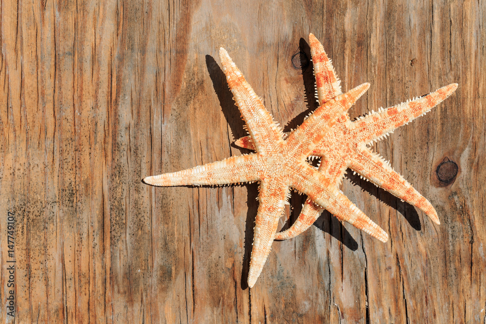 Starfish on a wooden background