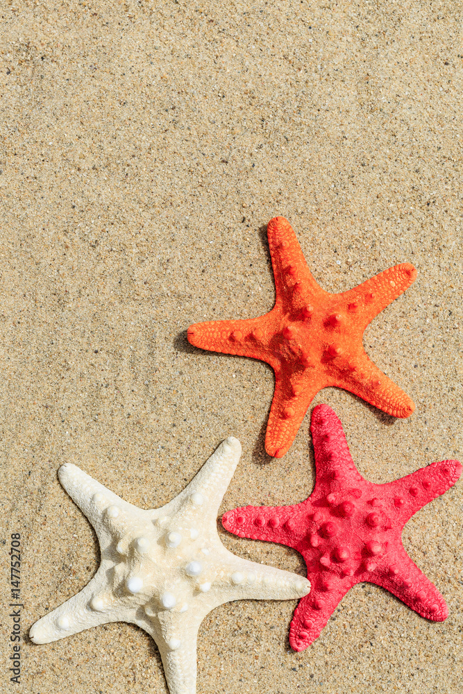 Starfish on sandy beach