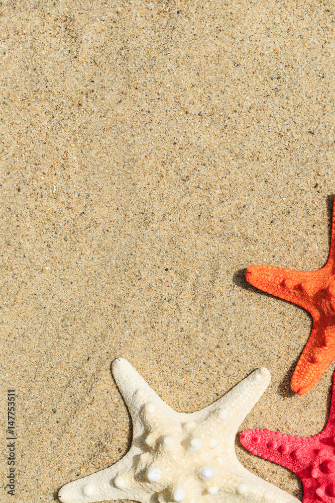 Starfish on sandy beach