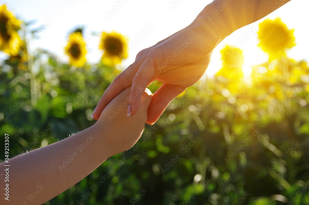 Hands on the field of sunflowers