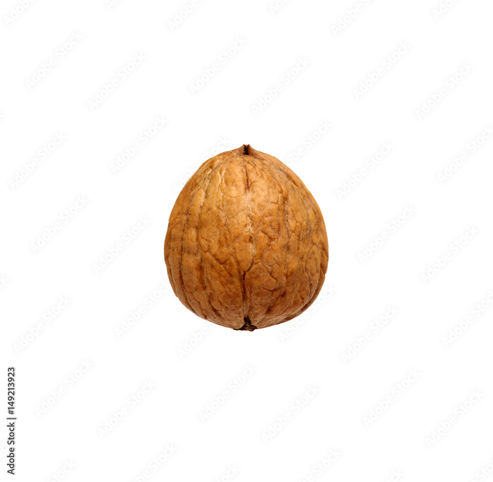 Single walnut isolated on a white