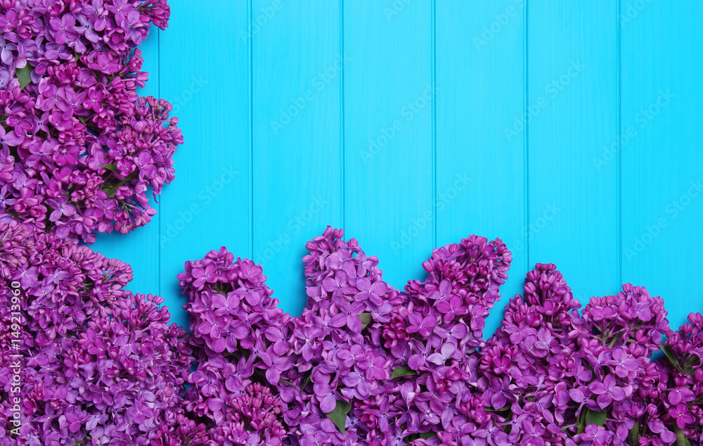  Lilac flowers on blue wooden background.