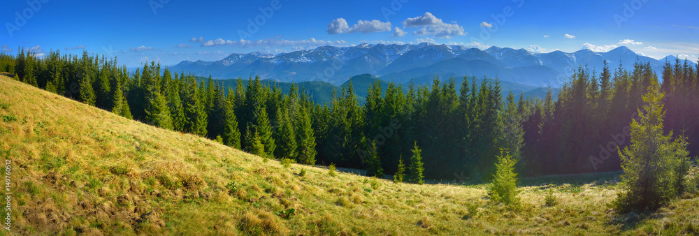 山地全景