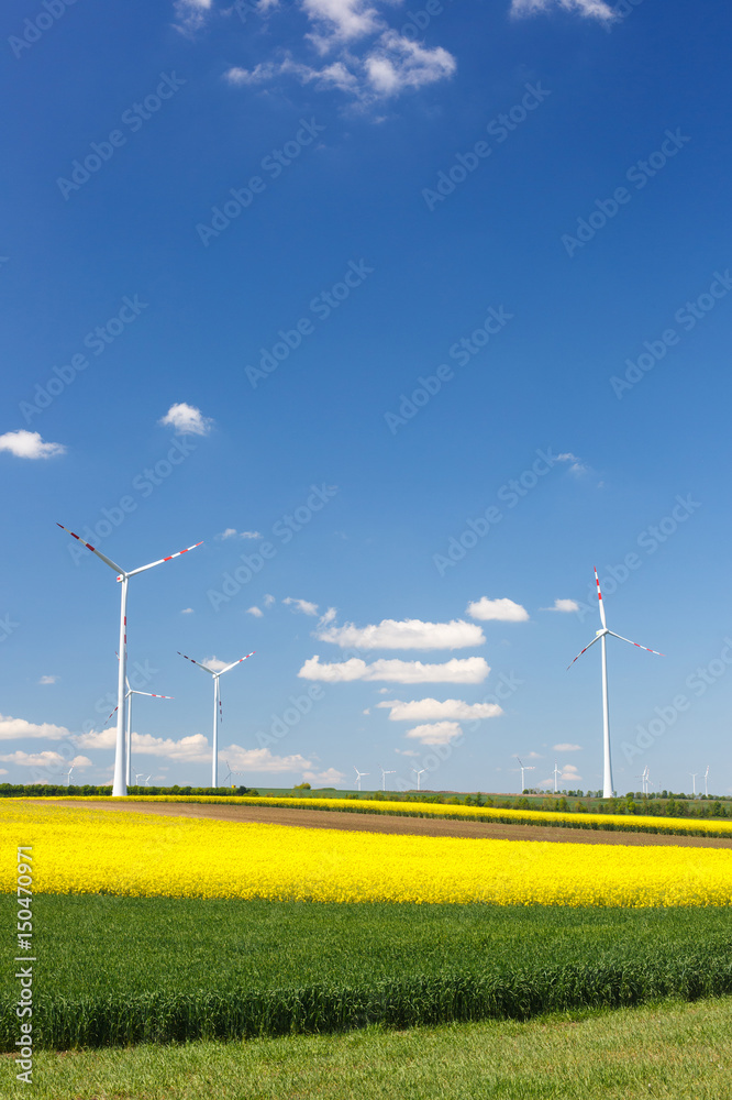 Wind farm with spinning wind turbines