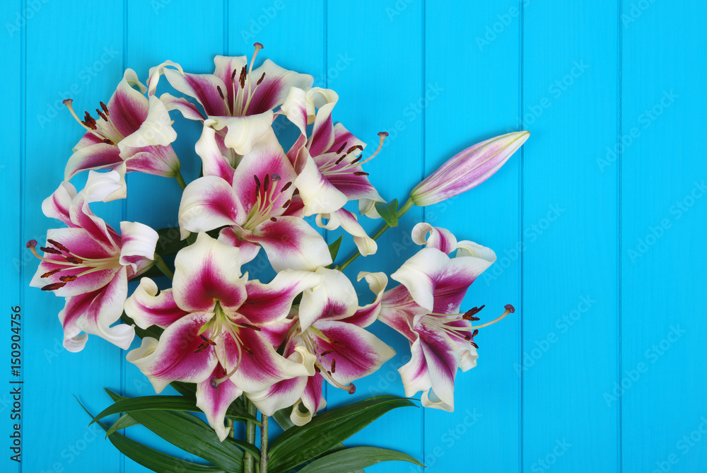  lily flowers on wooden planks