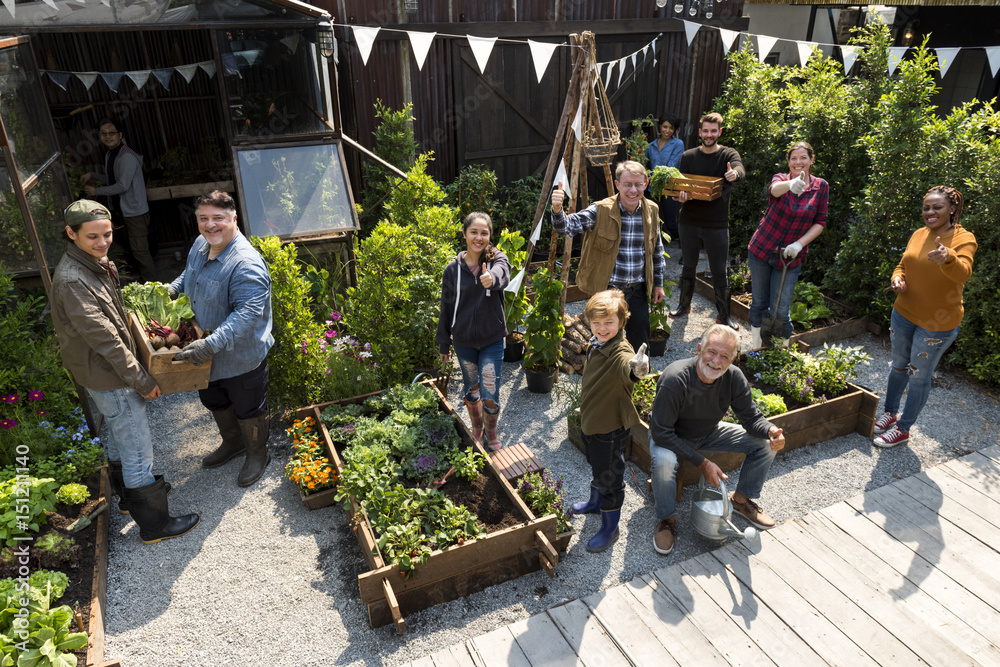 Group of people planting vegetable in greenhouse