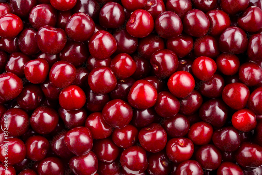 Cherry. Fresh organic berries. Red background. Fruit macro.