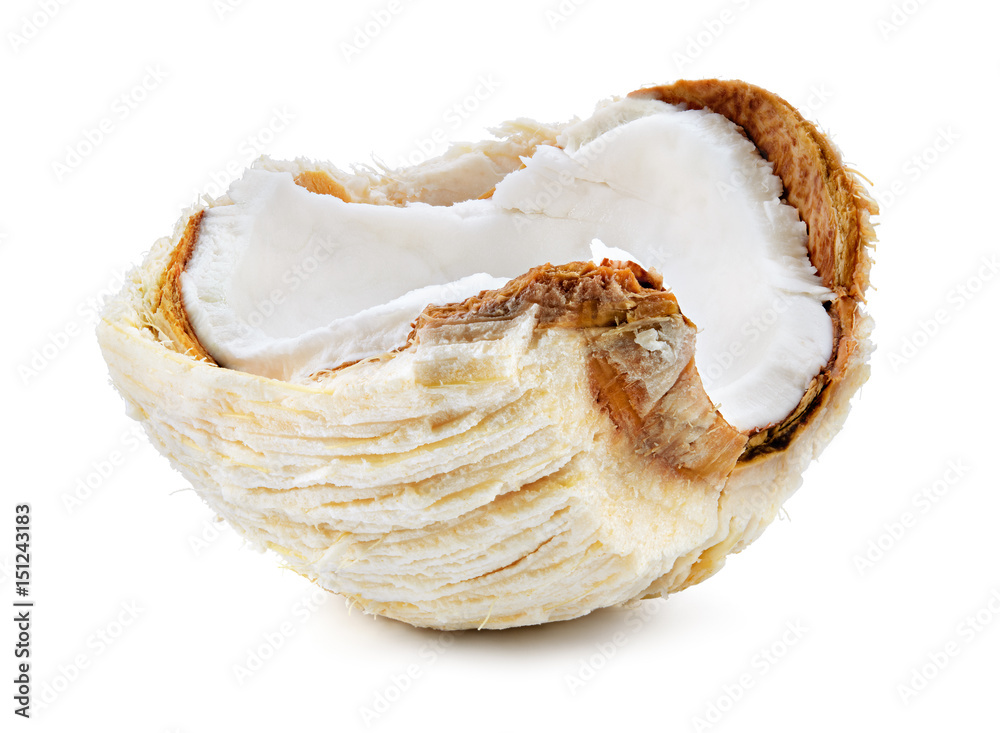 Coconut. Fresh young nut. Half isolated on white background. Full depth of field.