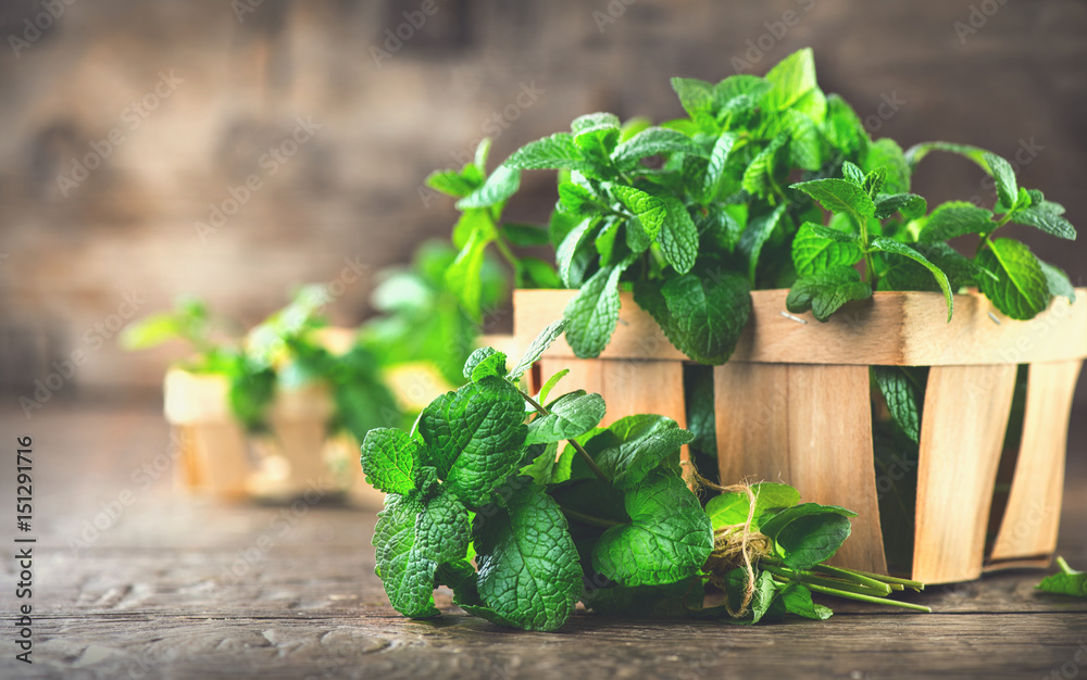 Mint. Bunch of fresh green organic mint leaf on wooden table closeup