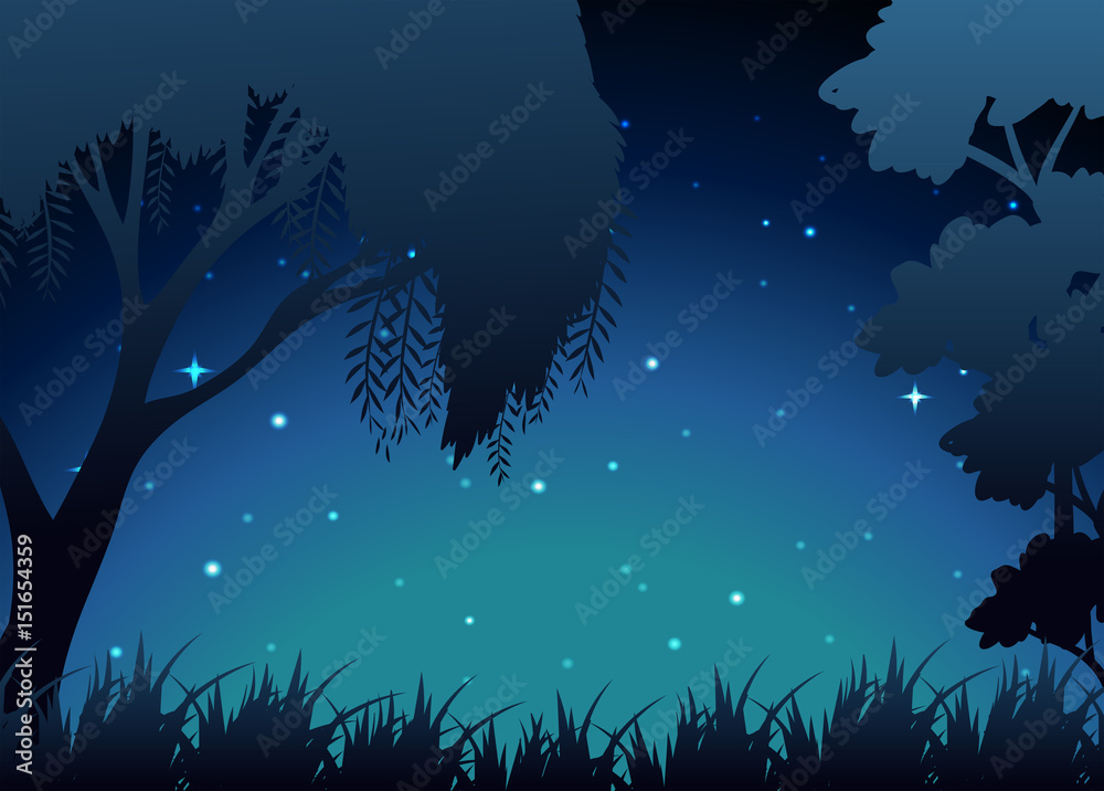 Scene of forest at night