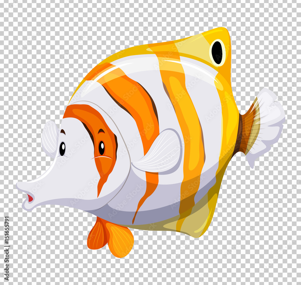 Cute fish on transparent background