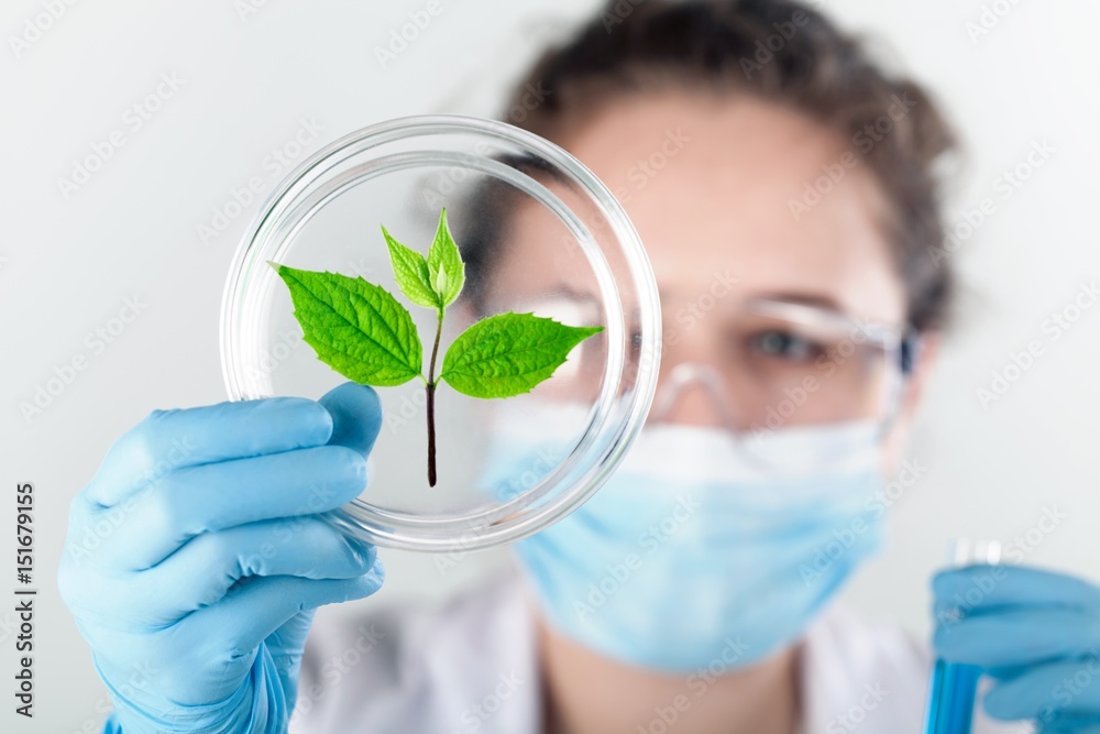 Scientist holds sprout.