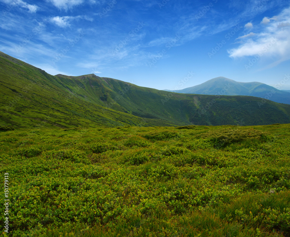 夏日山景