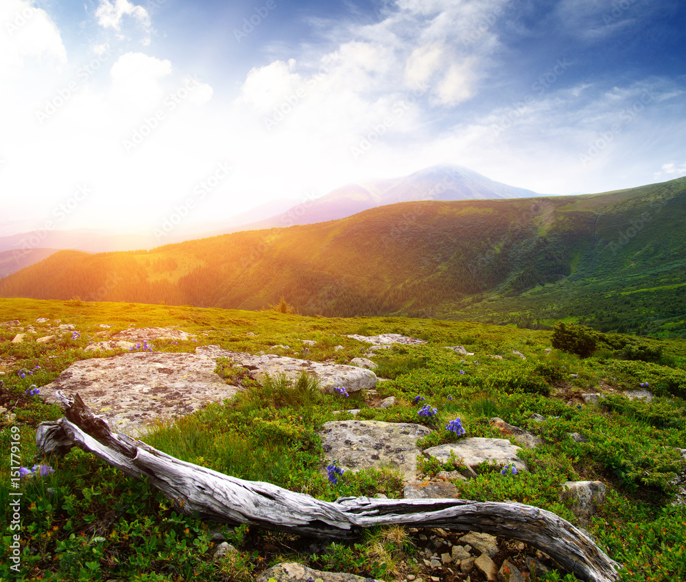 Mountain landscape on sun