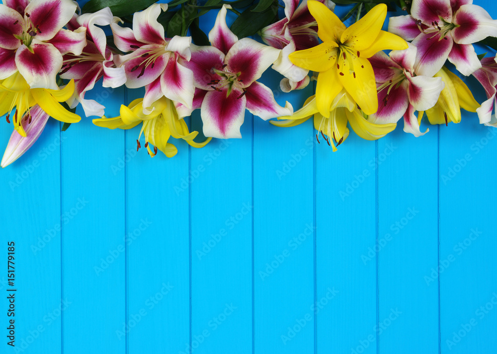  lily flowers on wooden planks