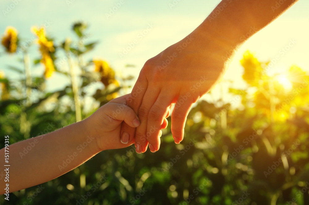 Hands on the field of sunflowers