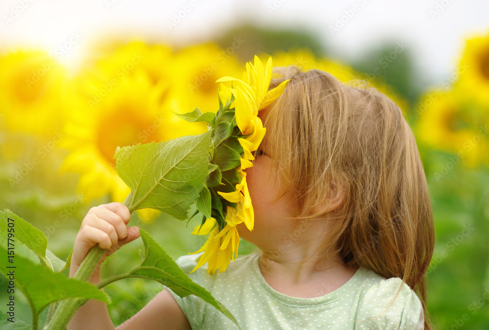  girl and sunflower on the field