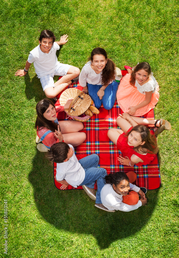 Seven happy friends relaxing on a picnic blanket