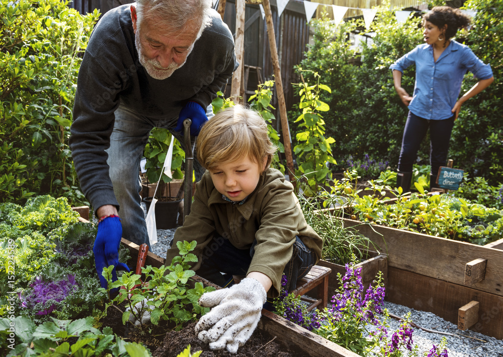 Family planting vegetable from backyard garden