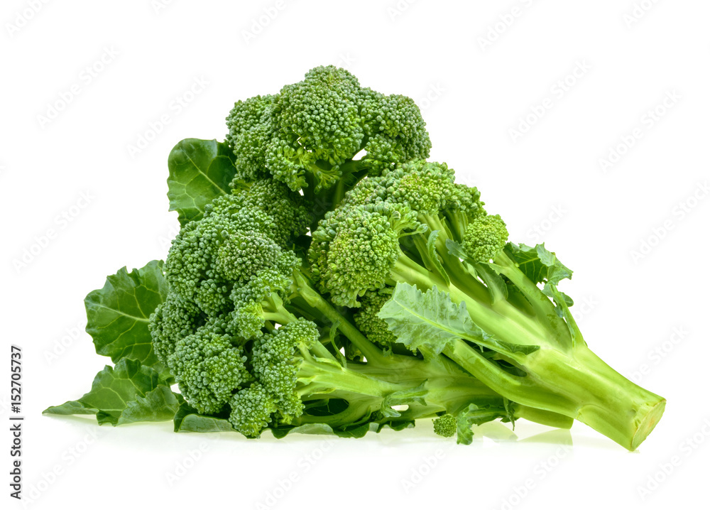 Fresh broccoli isolated on white background