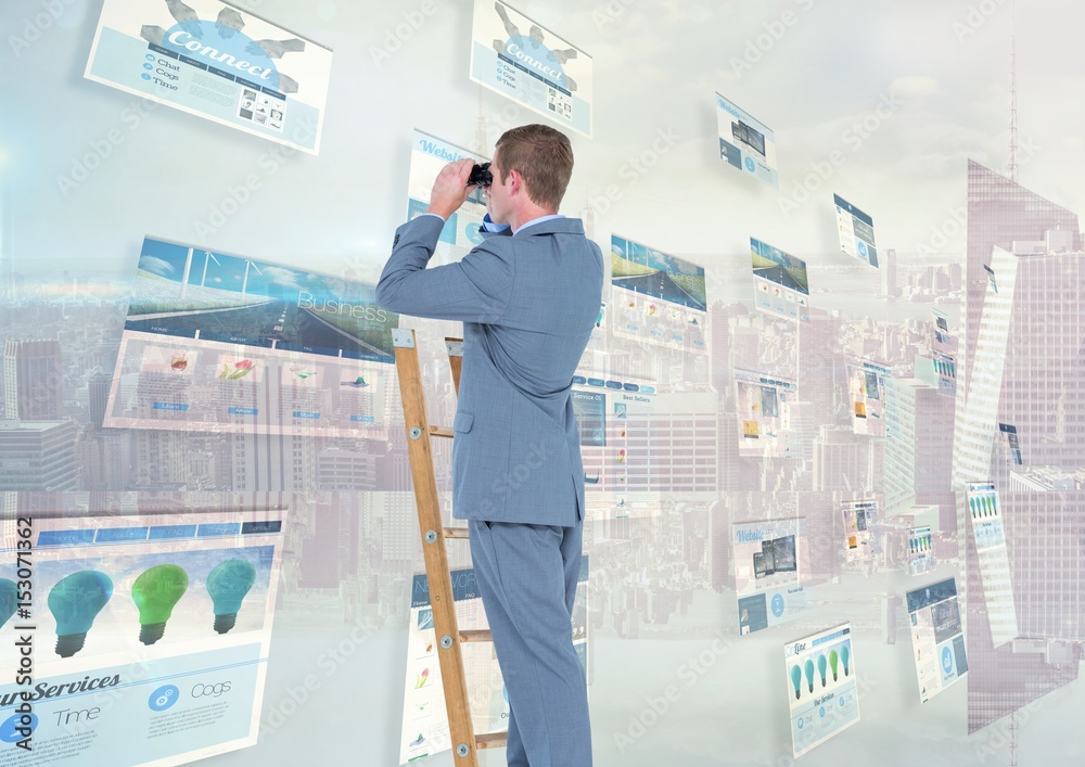 Man on a ladder with binoculars seeing panels 