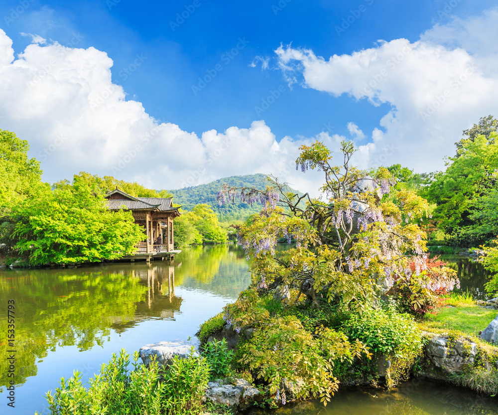 中国夏日美丽的杭州西湖花园