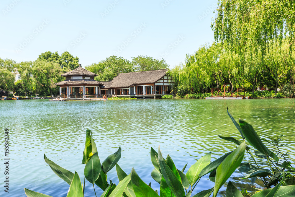 夏日美丽的杭州西湖花园，中国