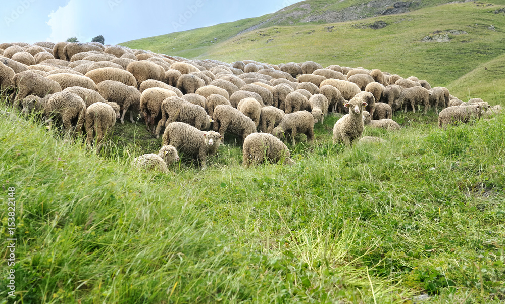 萨瓦阿尔卑斯山之旅