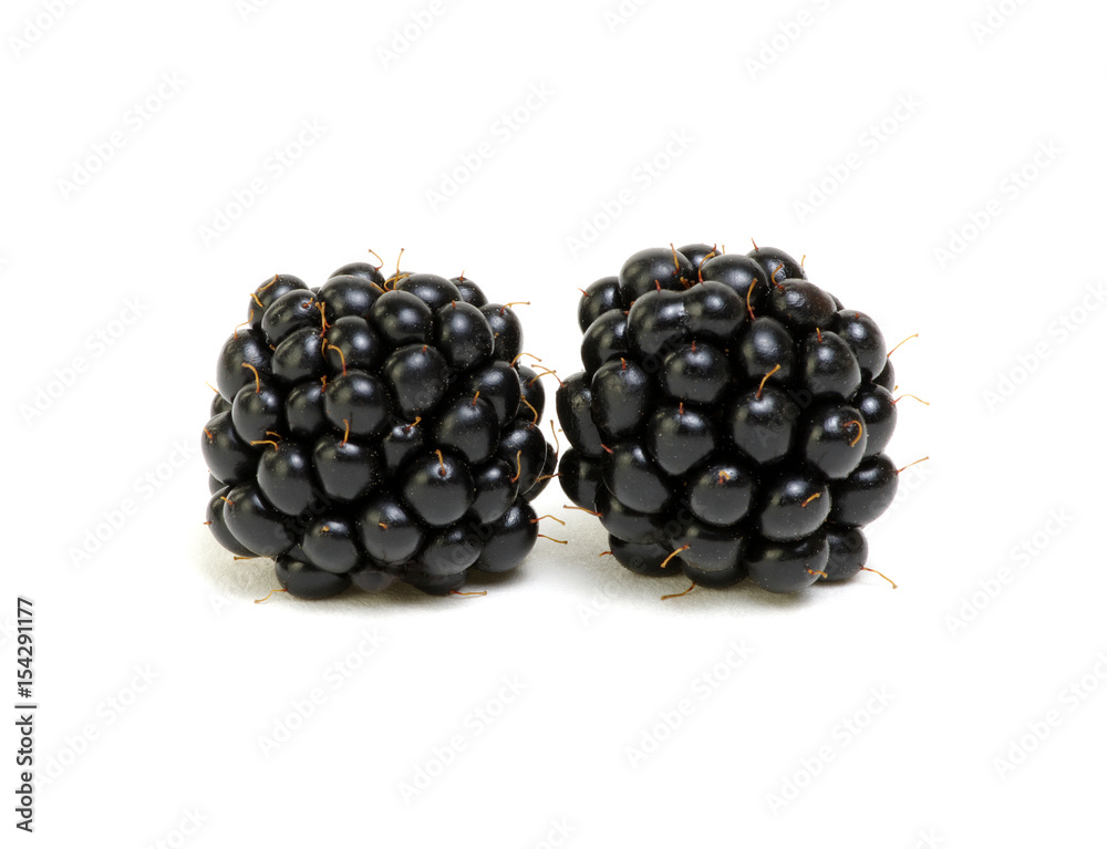 Closeup shot of fresh blackberries