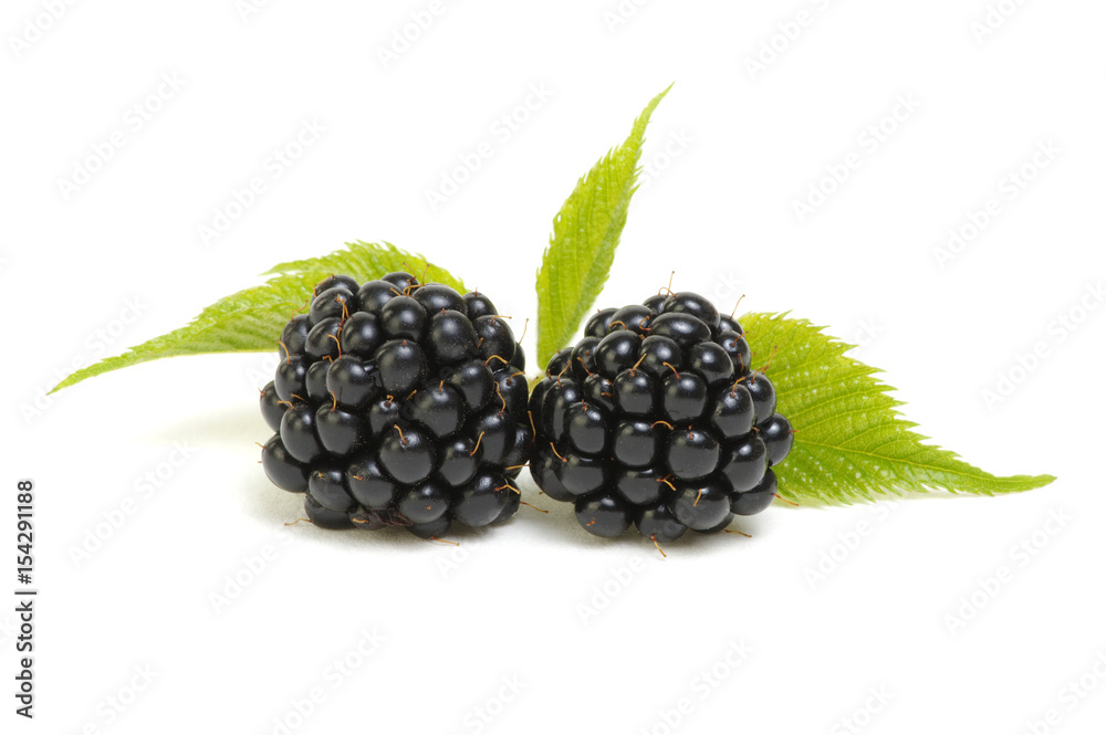 Blackberries with leaves