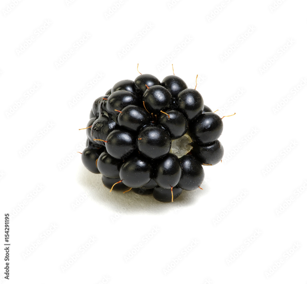  Ripe blackberries isolated on white background