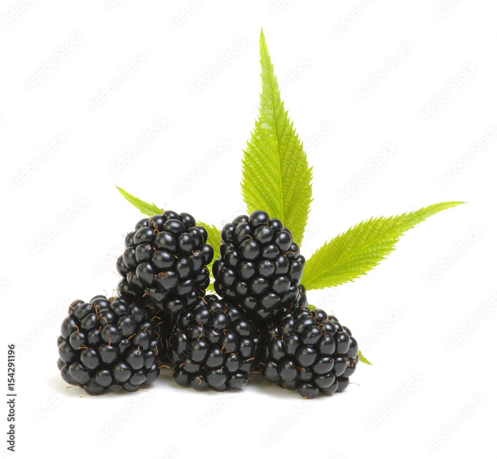 Blackberries with leaves