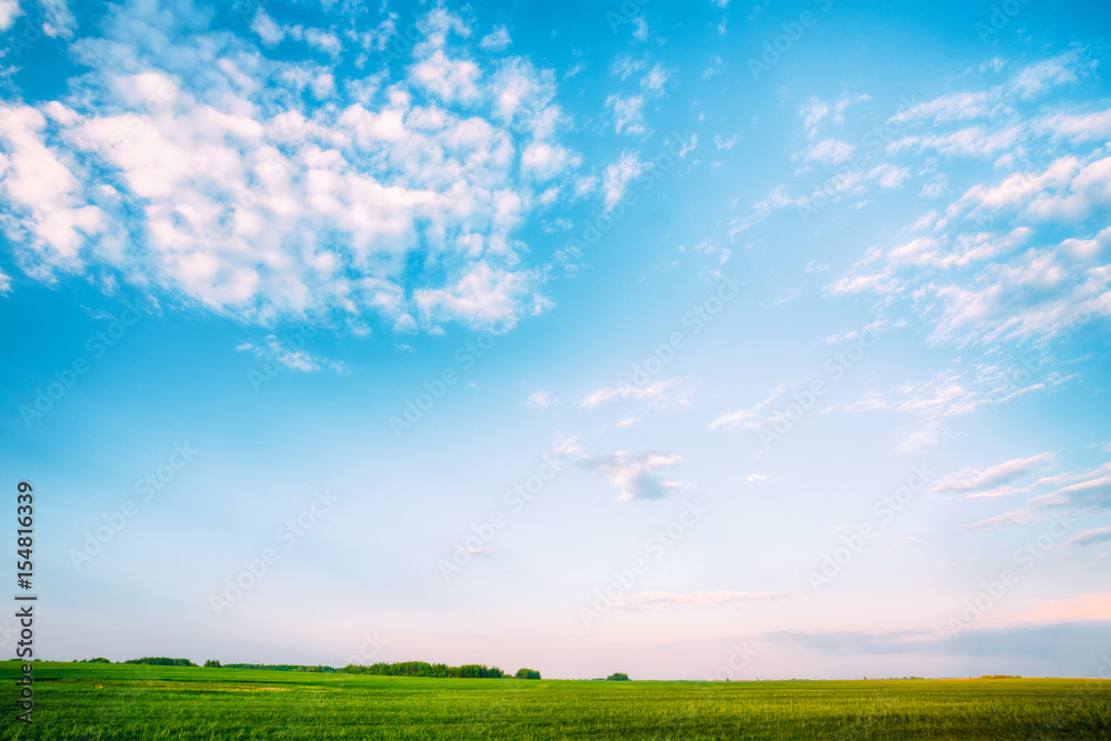 Field Landscape Under Scenic Spring Blue Dramatic Sky With White