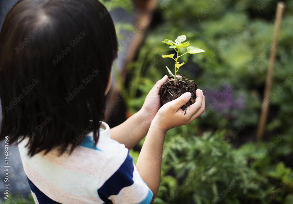 抱着泥土绿植的女孩