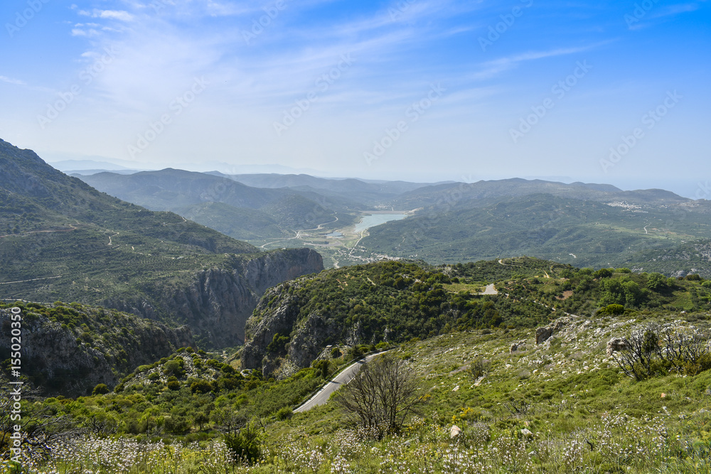 山景